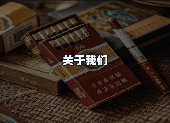 关于我们